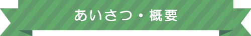 体験する